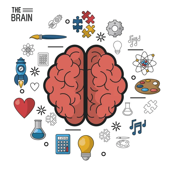 Барвистий плакат мозку у верхній частині його двох півкулей і піктограм навколо — стоковий вектор