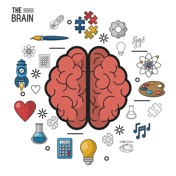 Színes plakát az agy a két félteke és ikonok, ezen a környéken: felülnézet — Stock Vector