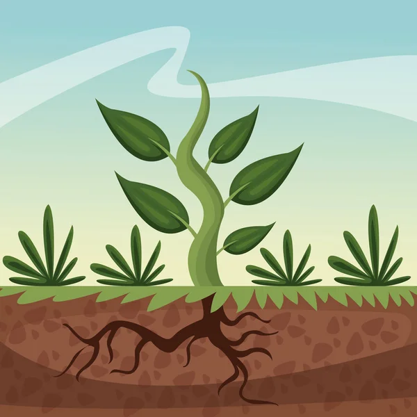 Realistické barevné plakát closeup pěstování rostlin — Stockový vektor