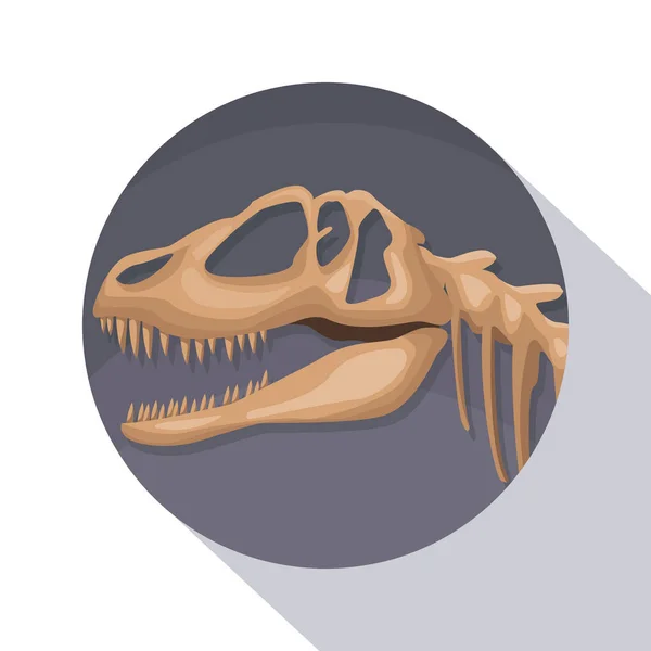 Κυκλικό πλαίσιο σκίαση αφίσα closeup προϊστορία σκελετός δεινοσαύρου — Διανυσματικό Αρχείο