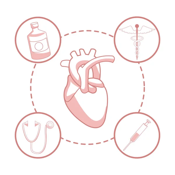 白地の円形フレーム要素健康シルエット心臓器官の赤い色のセクションで — ストックベクタ