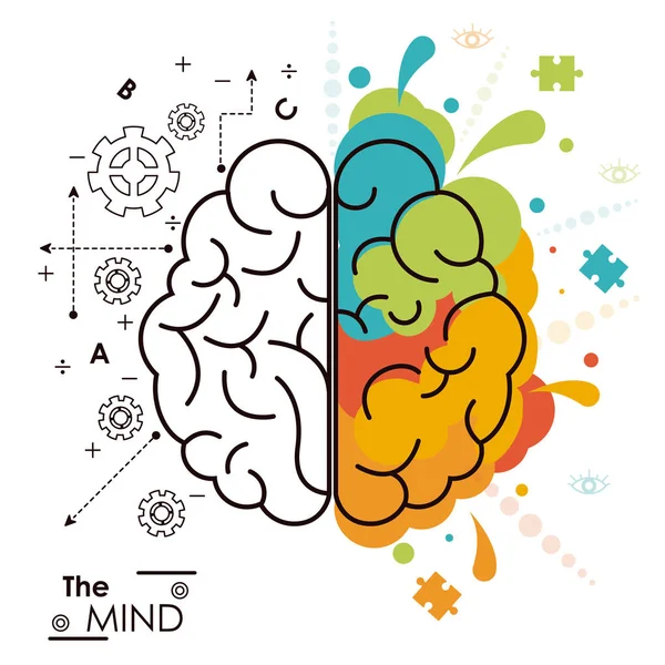 The mind brain human functions left right design — Stock Vector