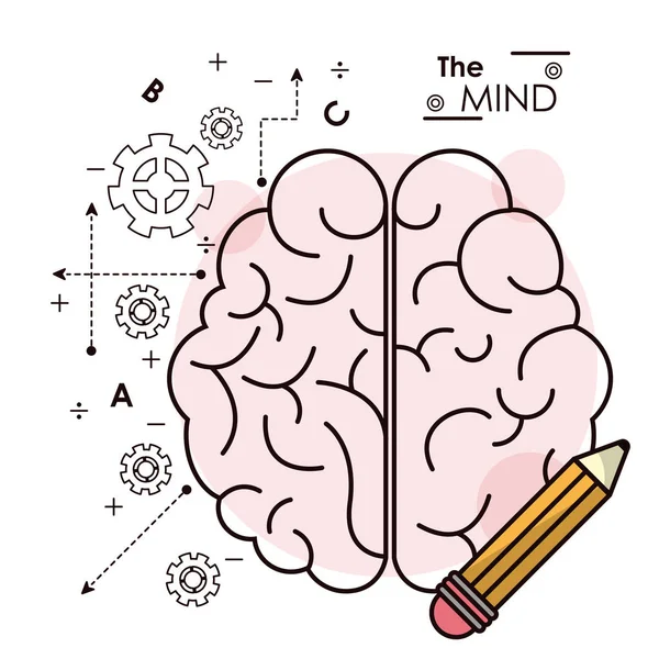 A ideia do lápis do cérebro mente criatividade inteligência colaboração esboço — Vetor de Stock