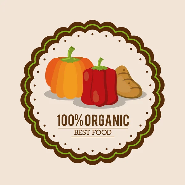 Logotipo colorido de la mejor comida orgánica con pimientos calabaza y patata — Vector de stock