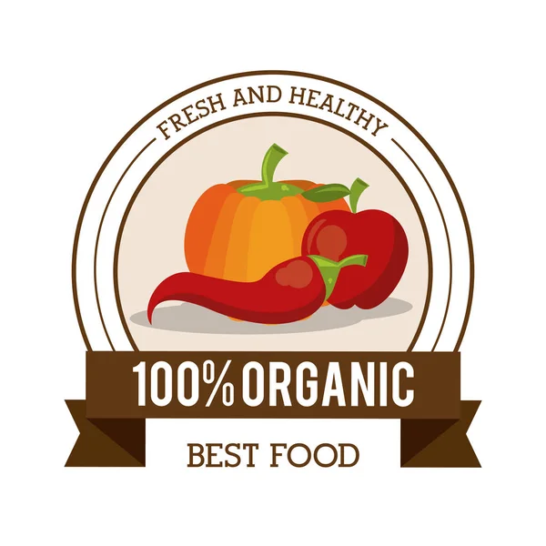 Logotipo colorido de alimentos orgánicos frescos y saludables con calabaza de chile y manzana — Vector de stock