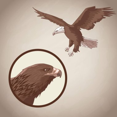 Kartal çizim kahverengi zemin üzerinde