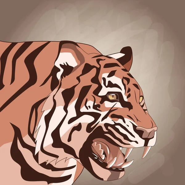 Tijger tekening over bruine achtergrond — Stockvector