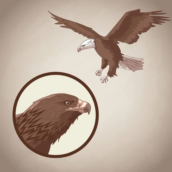 Eagle tekening over bruine achtergrond — Stockvector