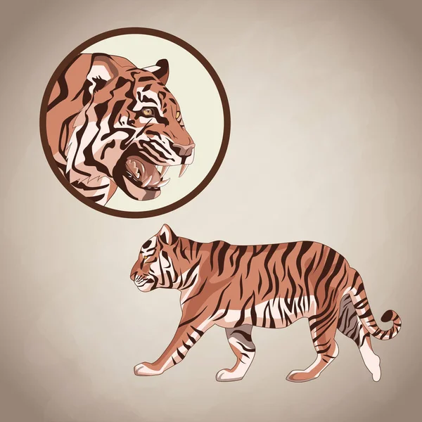 Tigre dibujo sobre fondo marrón — Vector de stock