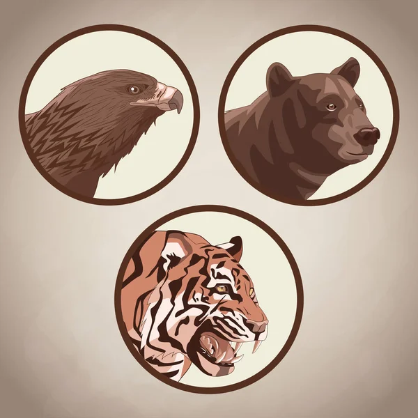 Adler, Tiger und Bär zeichnen — Stockvektor