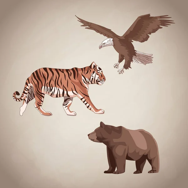 Dessin aigle, tigre et ours — Image vectorielle