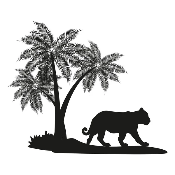 Tiger med palm tree svart siluett — Stock vektor