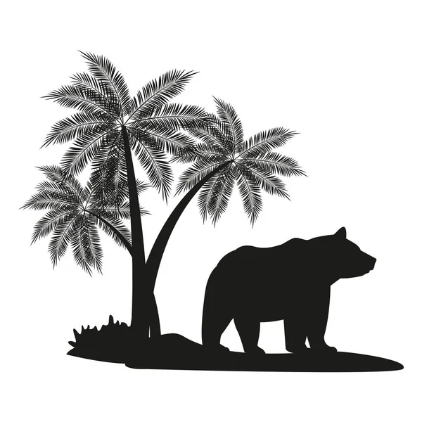 Bear black silhouette — Stock Vector