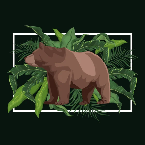 Bear in the jungle — Stock Vector