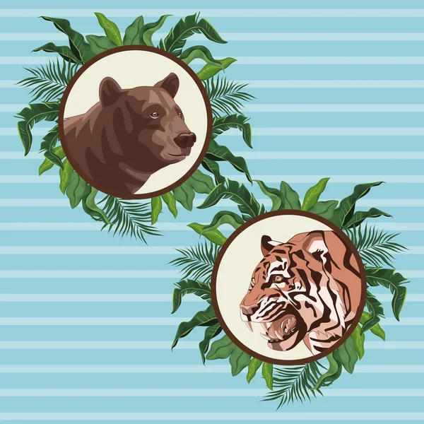 Oso y tigre dibujando sobre fondo azul — Vector de stock