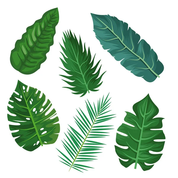 Plantas y hojas — Vector de stock