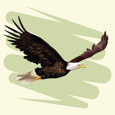 Çizim kızartma kartal