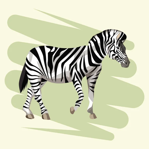 Gyönyörű zebra rajz — Stock Vector