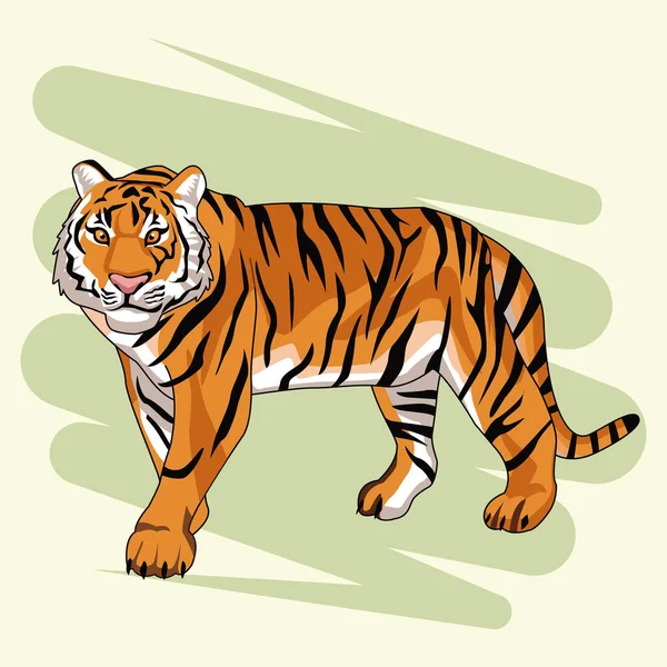 Hermoso dibujo de tigre — Vector de stock