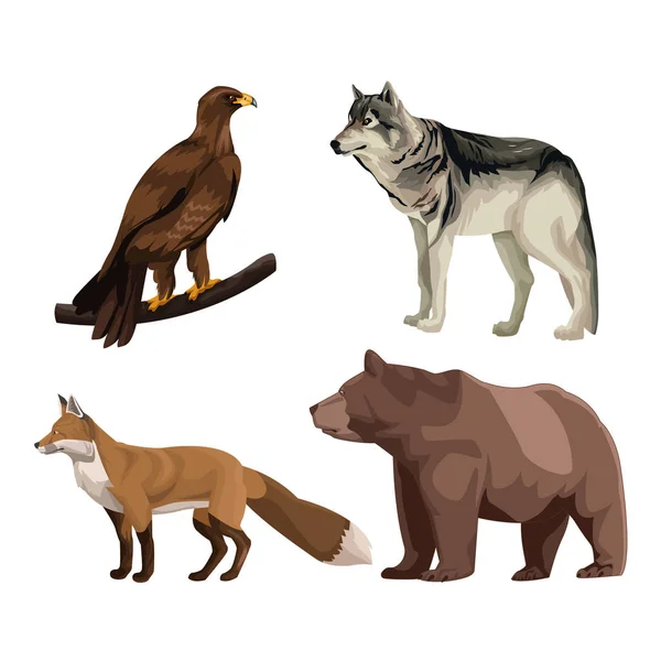 Animali selvatici disegno colorato — Vettoriale Stock