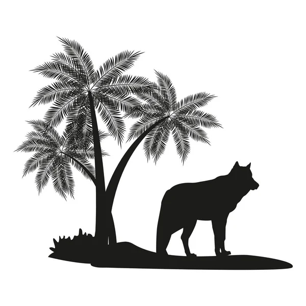 Vlk a palm tree černá silueta — Stockový vektor