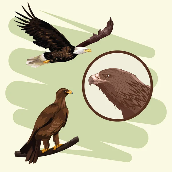 Eagles kunst tekening — Stockvector
