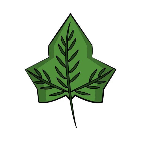 Simbolul eco frunze — Vector de stoc