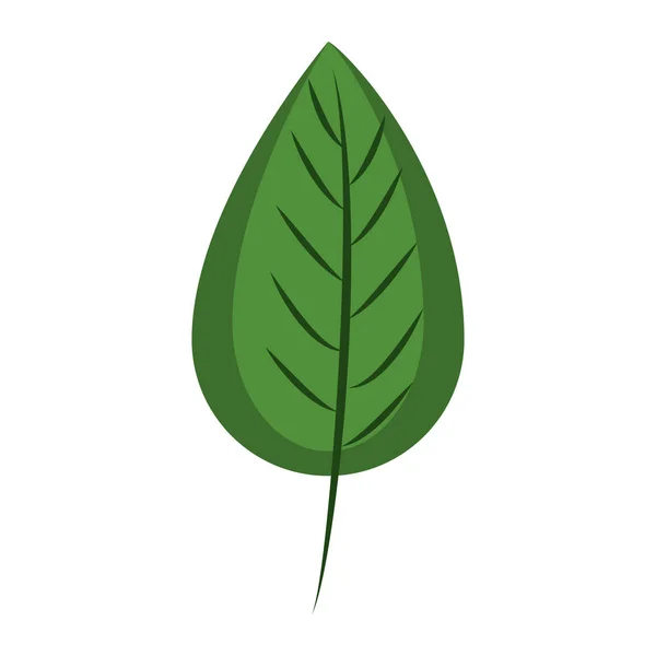 Símbolo ecológico da folha — Vetor de Stock