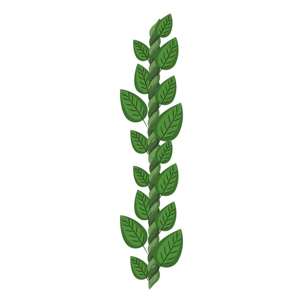 Bouquet de feuilles — Image vectorielle