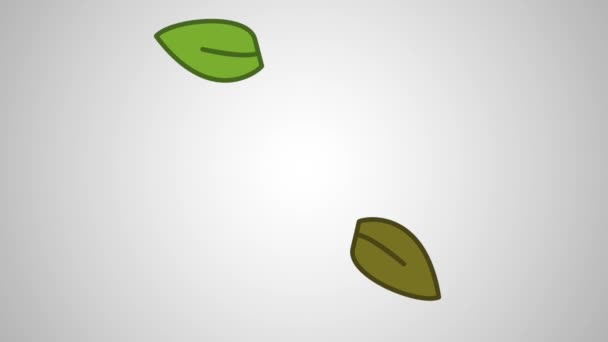 Зеленые листья падают — стоковое видео