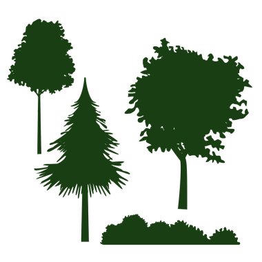 Ağaçlar ve çalılar