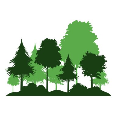 Ağaçlar ve çalılar