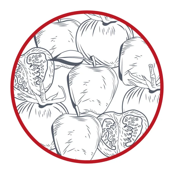 新鲜西红柿蔬菜圆图标 — 图库矢量图片