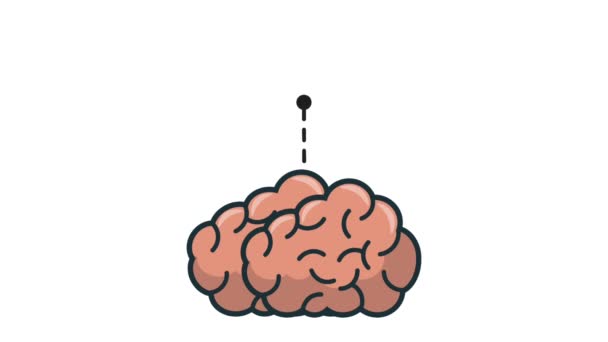 Cerebro y conocimiento — Vídeo de stock