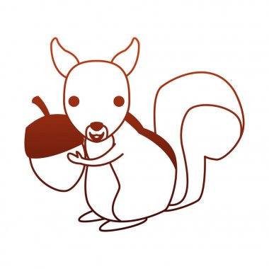 Kırmızı çizgiler üzerinde vahşi hayvan sincap