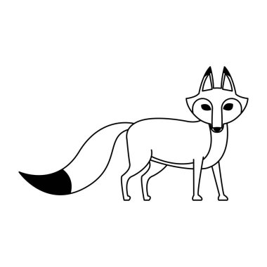 Fox vahşi hayvan üzerinde siyah ve beyaz