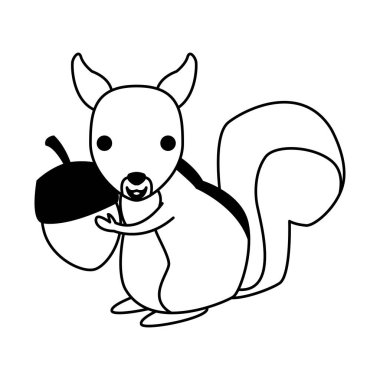 Sincap vahşi hayvan üzerinde siyah ve beyaz