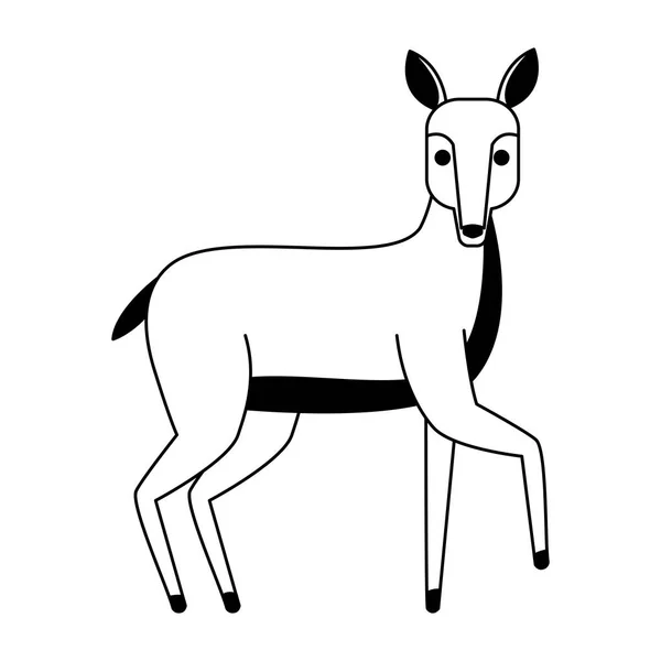 Siyah ve beyaz geyik vahşi hayvan — Stok Vektör