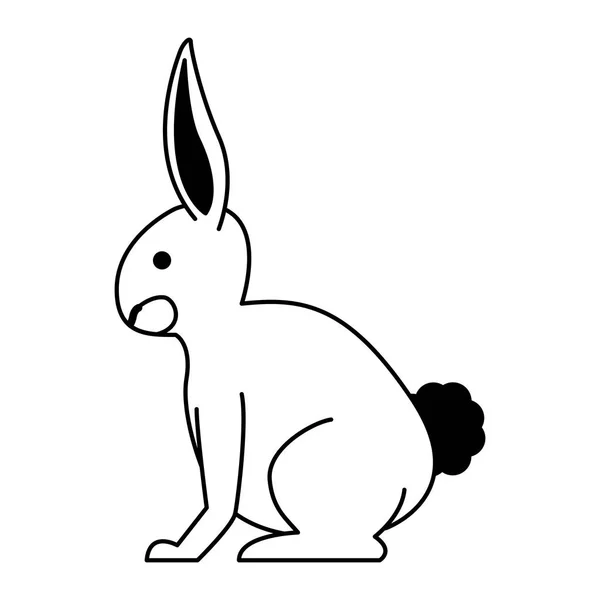 Lapin animal sauvage sur noir et blanc — Image vectorielle