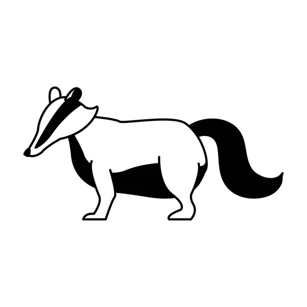 Skunk animale selvatico in bianco e nero — Vettoriale Stock