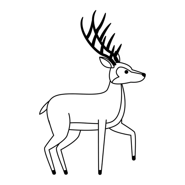 Ciervo animal salvaje en blanco y negro — Vector de stock