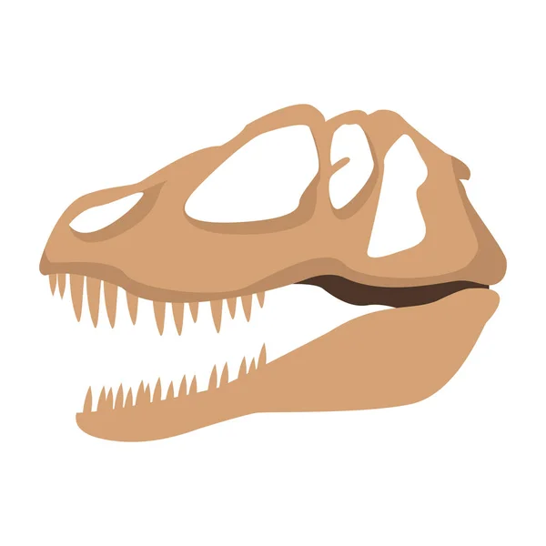 Dinosaur schedel geïsoleerd — Stockvector