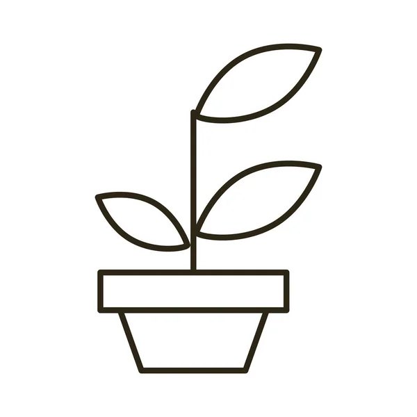 Planta de la casa en cerámica icono de la olla — Vector de stock