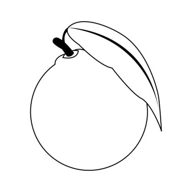 turuncu meyve simgesi, düz tasarım