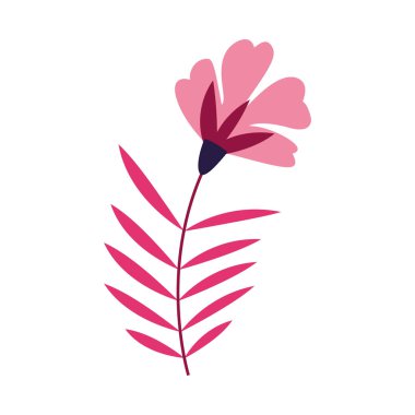 Yaprak ikonlu pembe çiçek