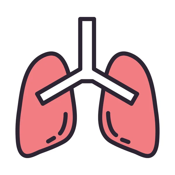 Longen menselijk orgaan geïsoleerd pictogram — Stockvector