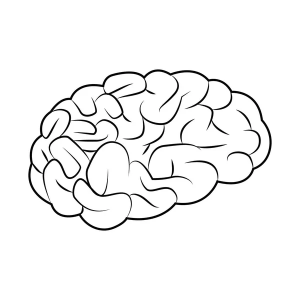 Icône du cerveau humain, design plat — Image vectorielle