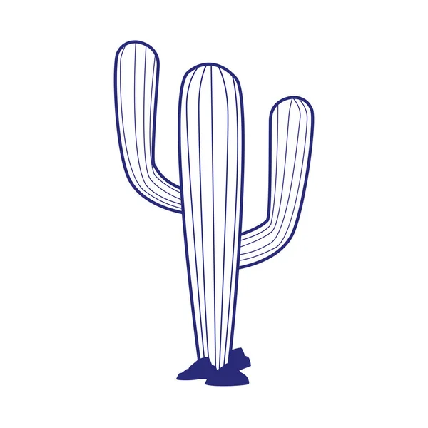 Ізольована рослина кактус Векторний дизайн — стоковий вектор