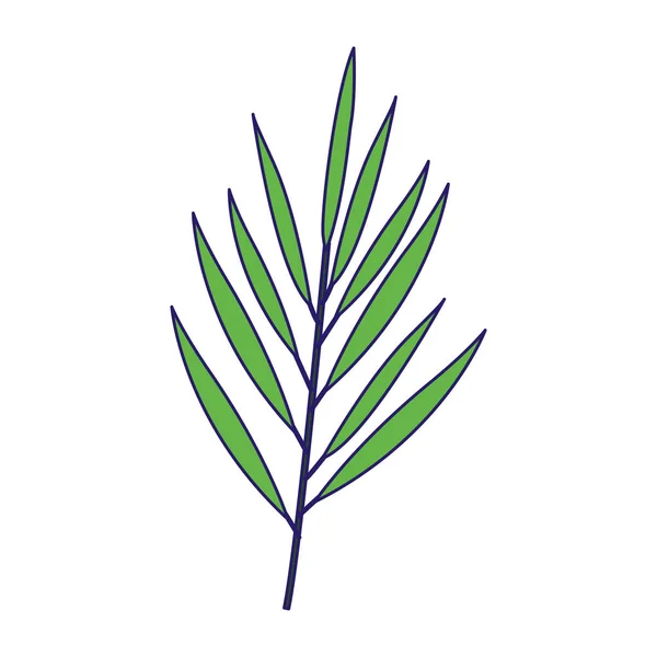 Tropikal yaprak simgesi, renkli tasarım — Stok Vektör