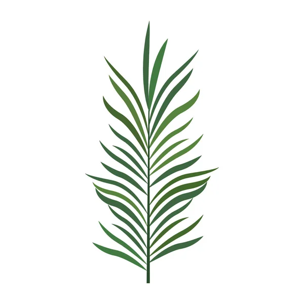 Tropikal yaprak simgesi, renkli tasarım — Stok Vektör